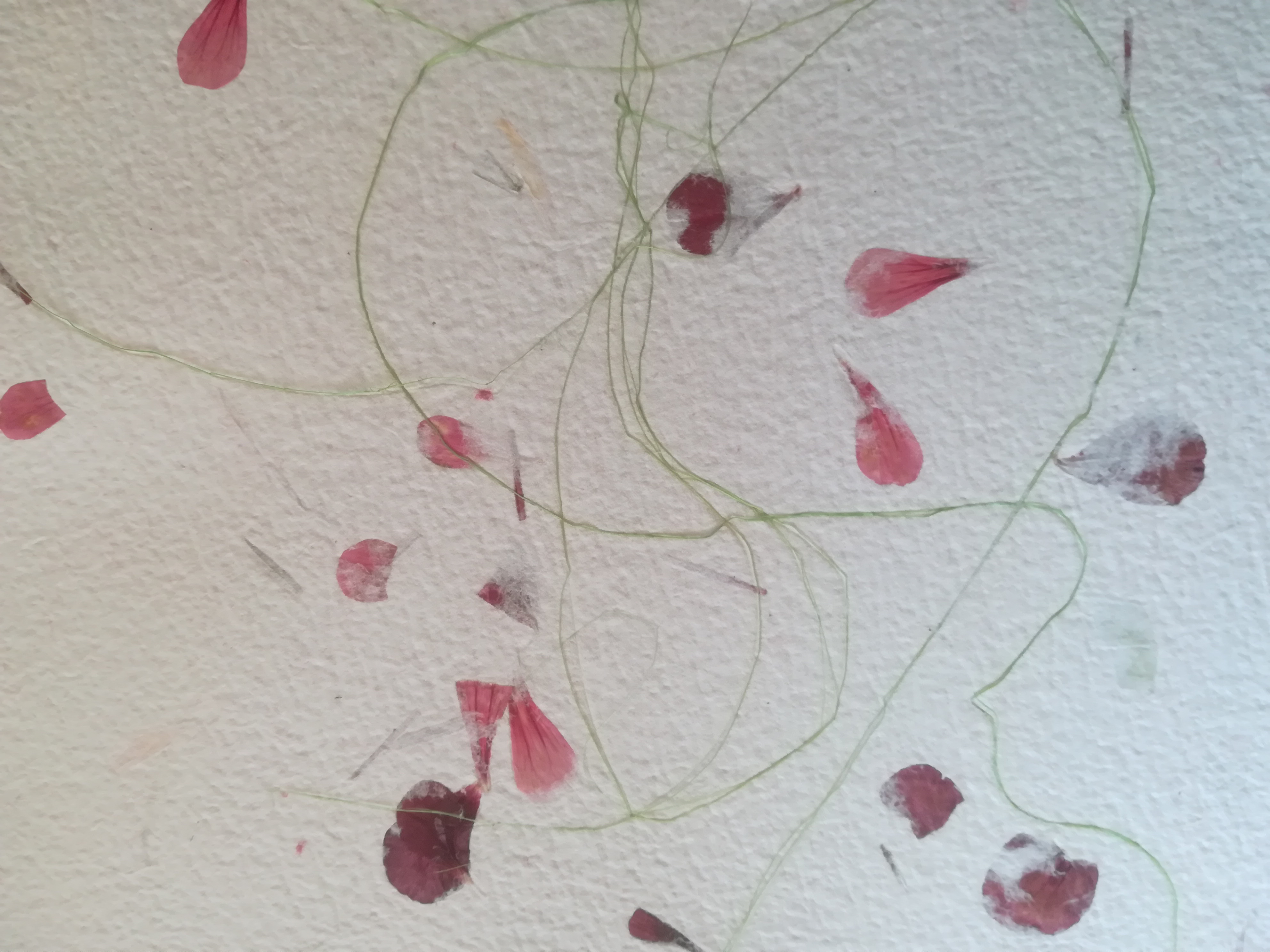 Schöpfpapier Sommerblüten "rote Geranie"